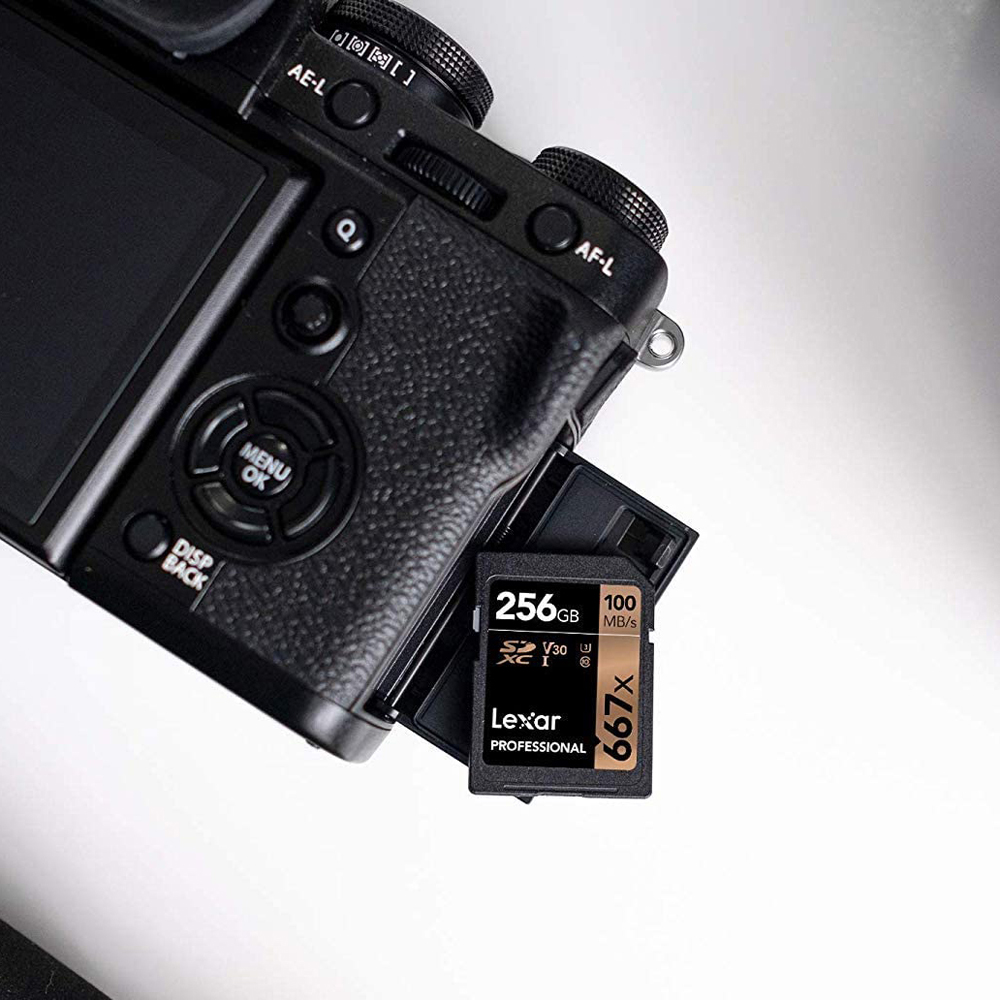Lexar 667X Professional 64GB U3 V30 SDXCâ„¢ UHS-I Memory Cards (up to 100MB/s read, Write 60MB/s)